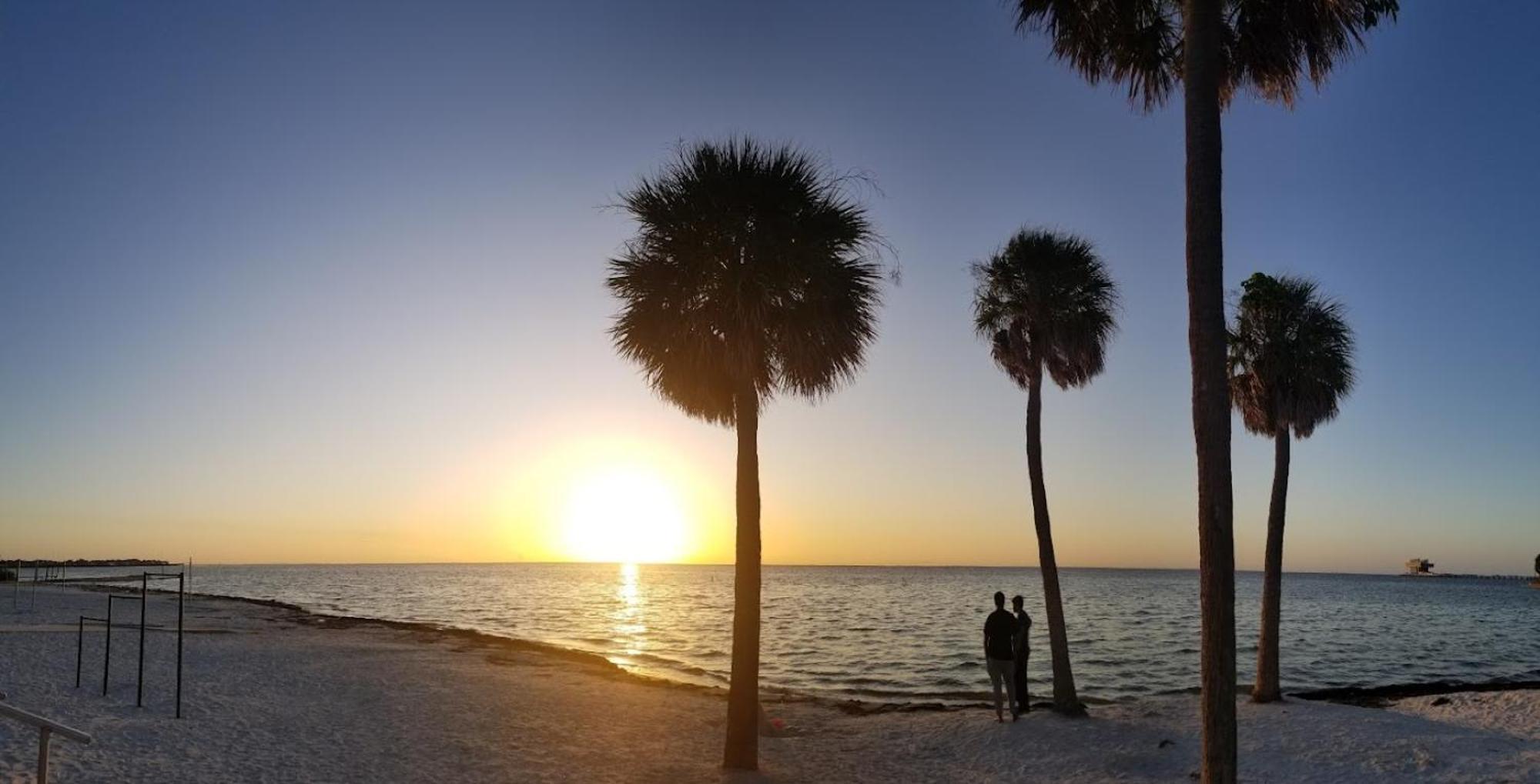 Elegant Studio Apartment In Downtown St Pete - Great Community Events! سانت بطرسبرج المظهر الخارجي الصورة